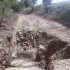 IMG-20180925-WA0005