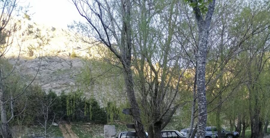 WhatsApp Image 2021-05-11 at 21.26.54 (2)