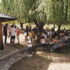 IMG-20210813-WA0068