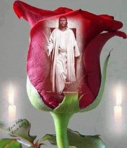 Isus u ruži-slika